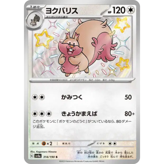 Rongrigou - SV4A - 314/190