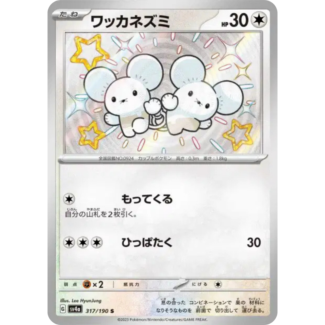 Compagnol - SV4A - 317/190