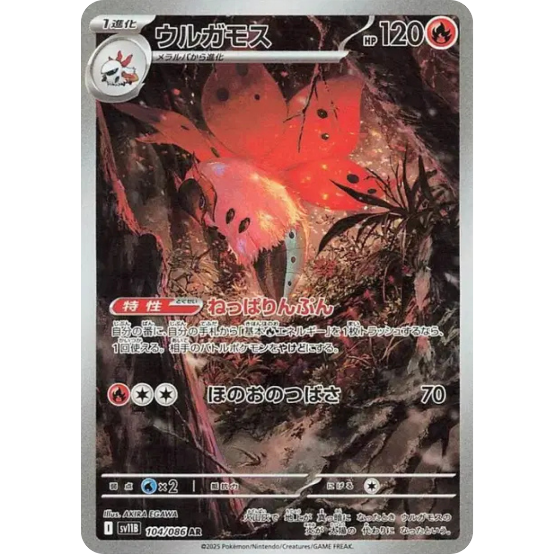 Pyrax - SV11B - 104/86