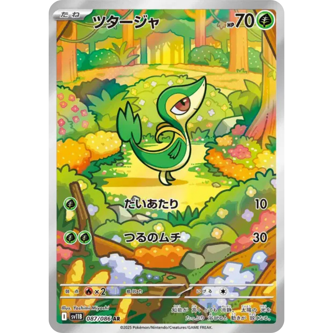 Vipélierre - SV11B - 87/86