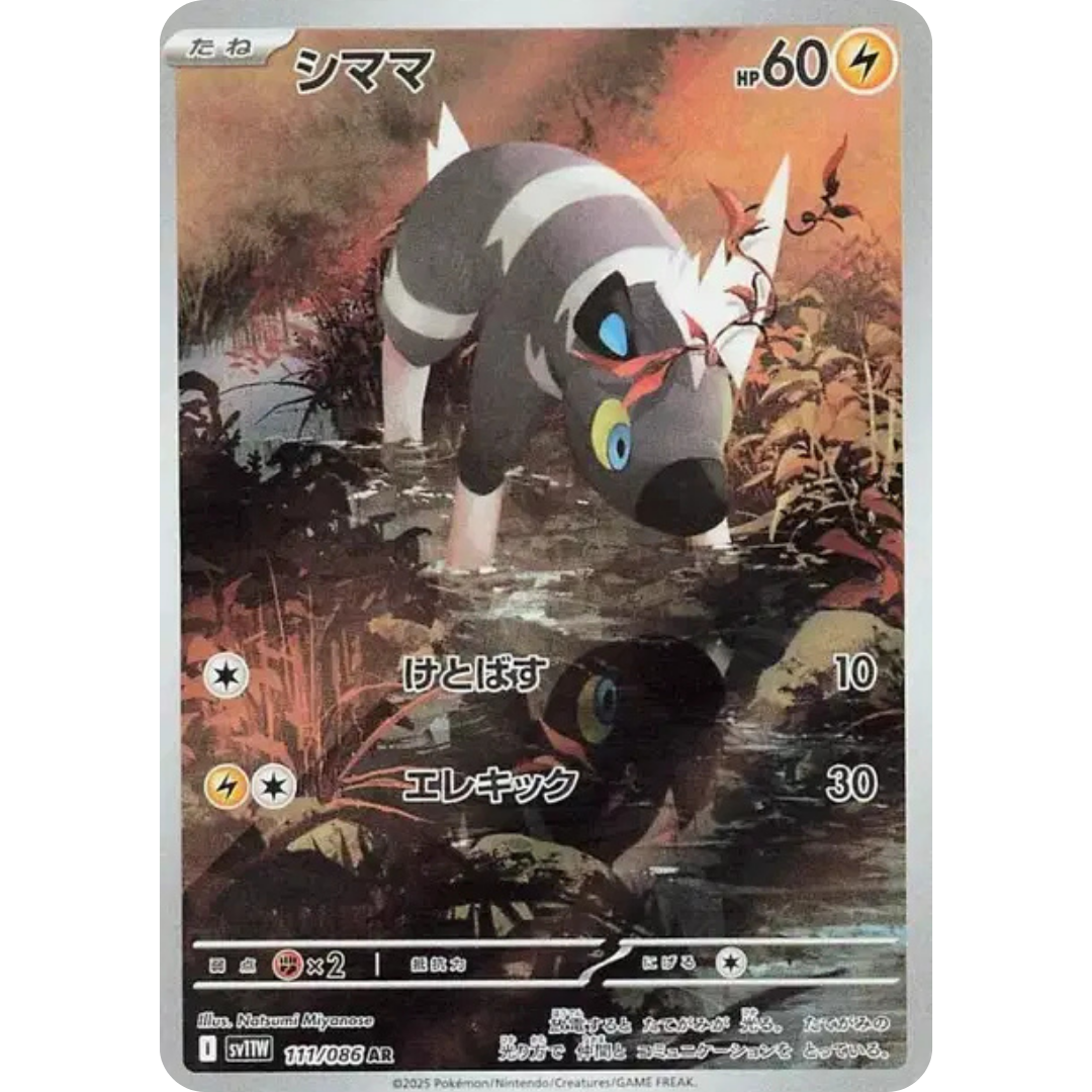 Zébibron - SV11W - 111/86