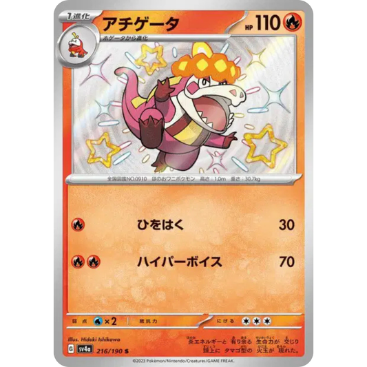 Crocogirl - SV4A - 216/190