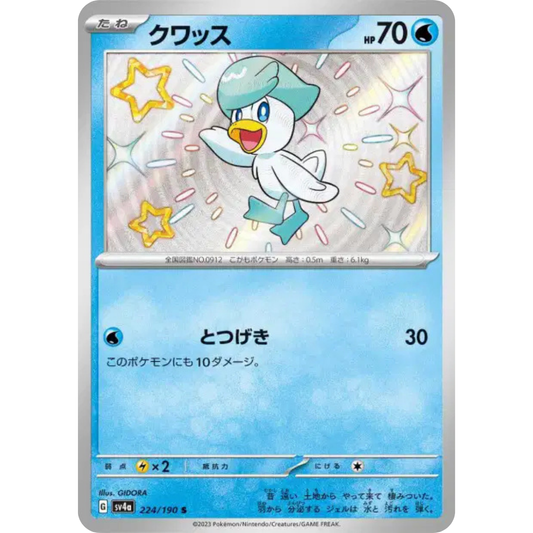 Coiffeton - SV4A - 224/190