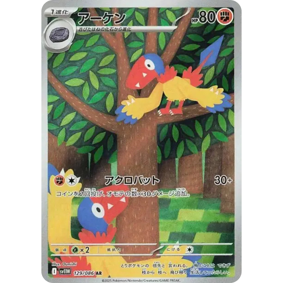 Arkéapti - SV11W - 129/86