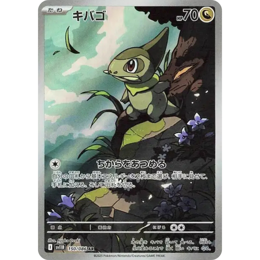 Coupenotte - SV11B - 150/86