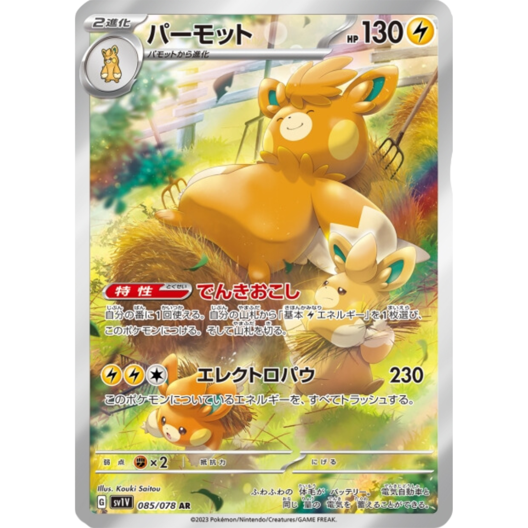 Pohmarmotte - SV1V - 85/78