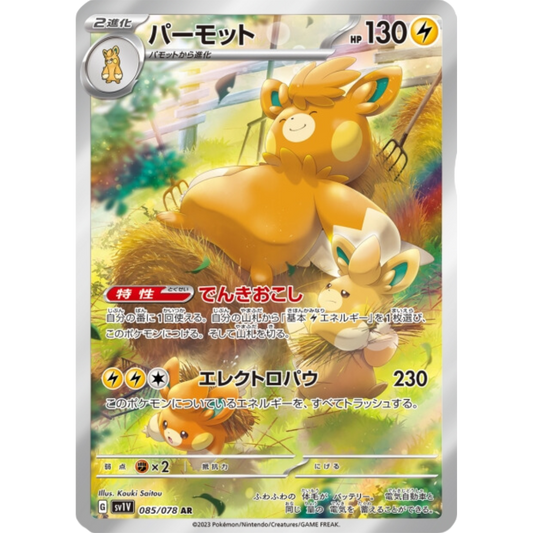 Pohmarmotte - SV1V - 85/78