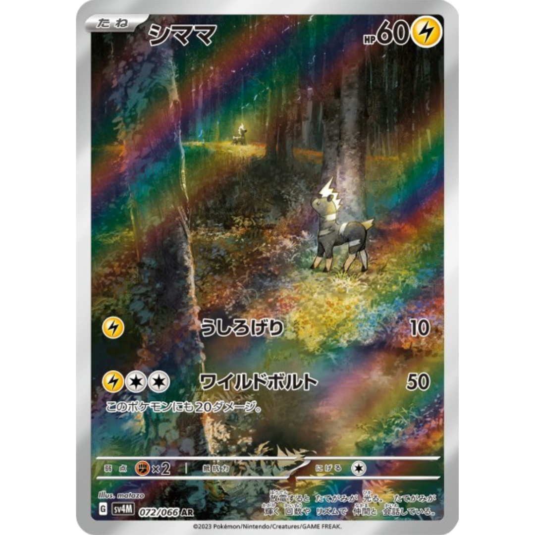 Zébibron - SV4M - 72/66