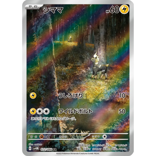 Zébibron - SV4M - 72/66