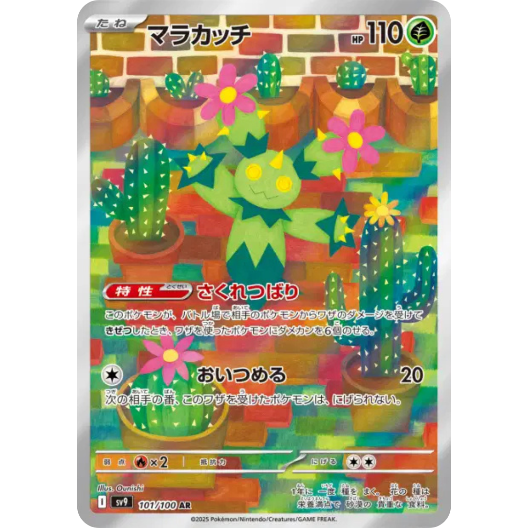 Maracachi - SV9 - 101/100