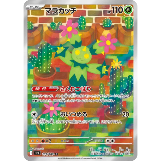 Maracachi - SV9 - 101/100