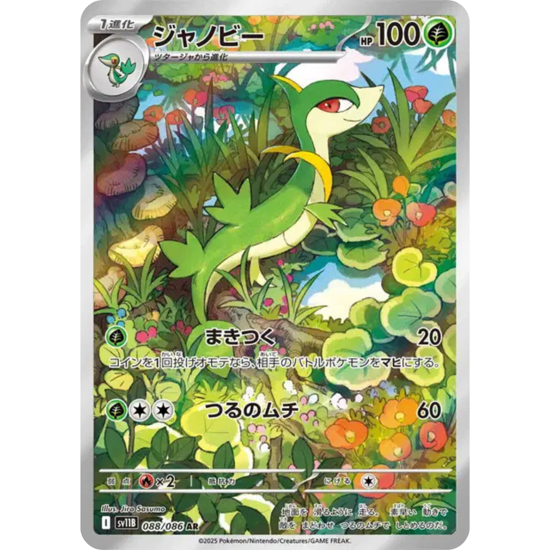 Lianaja - SV11B - 88/86