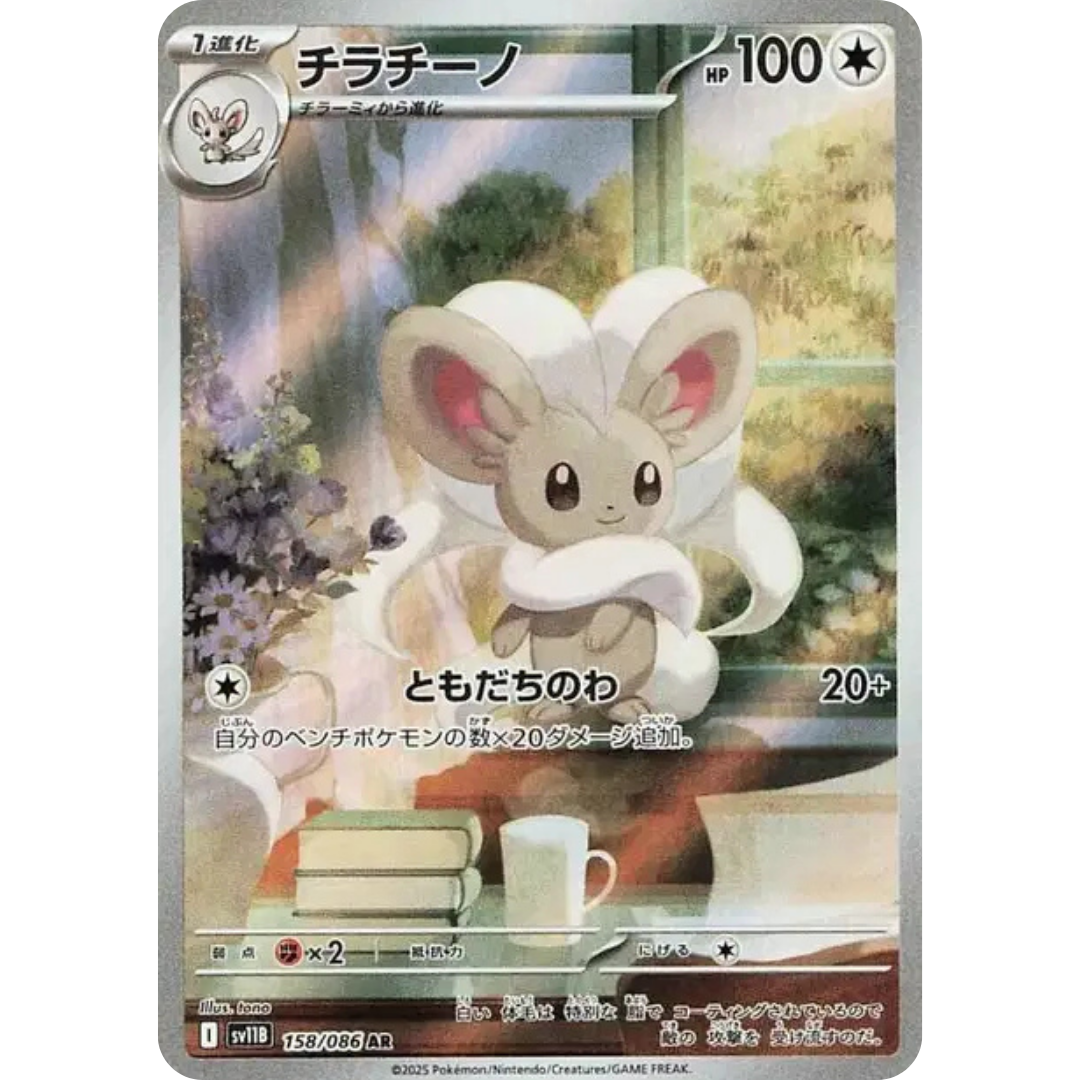 Pashmilla - SV11B - 158/86