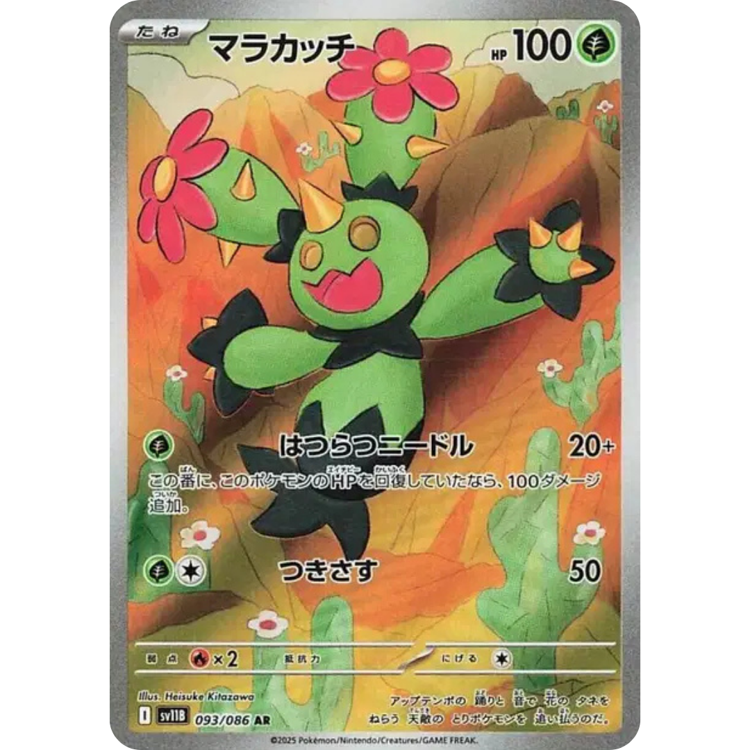 Maracachi - SV11B - 93/86